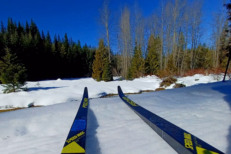 Schreck's famous skis